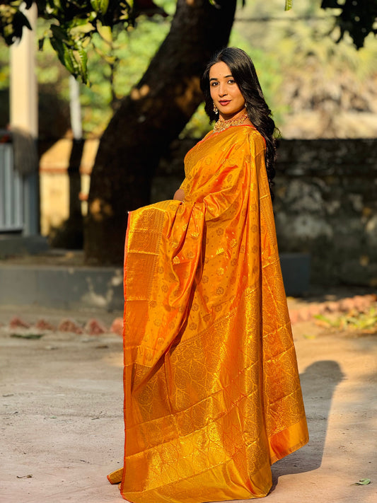 Swarna Kanti Banarasi Saree