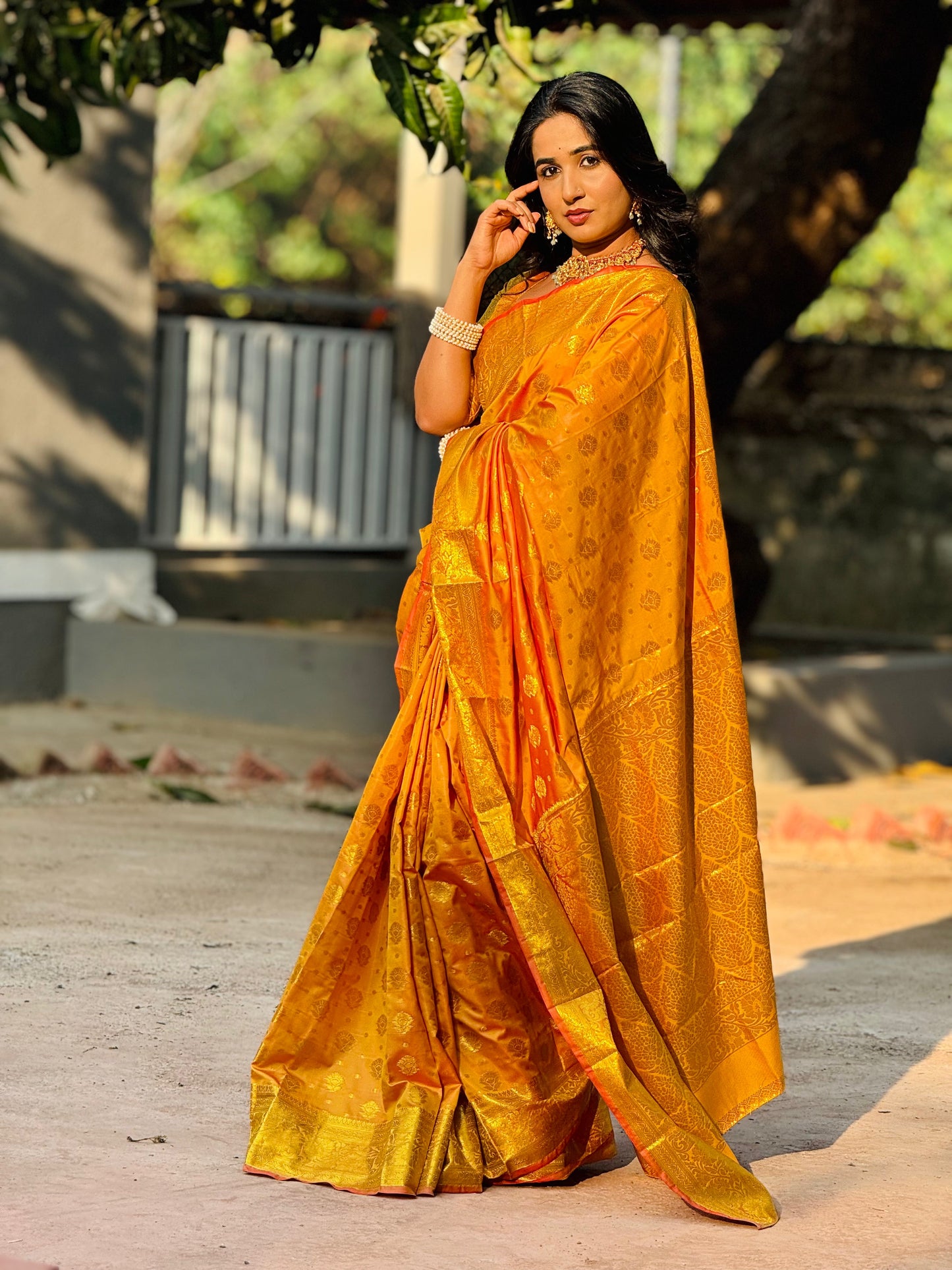 Swarna Kanti Banarasi Saree